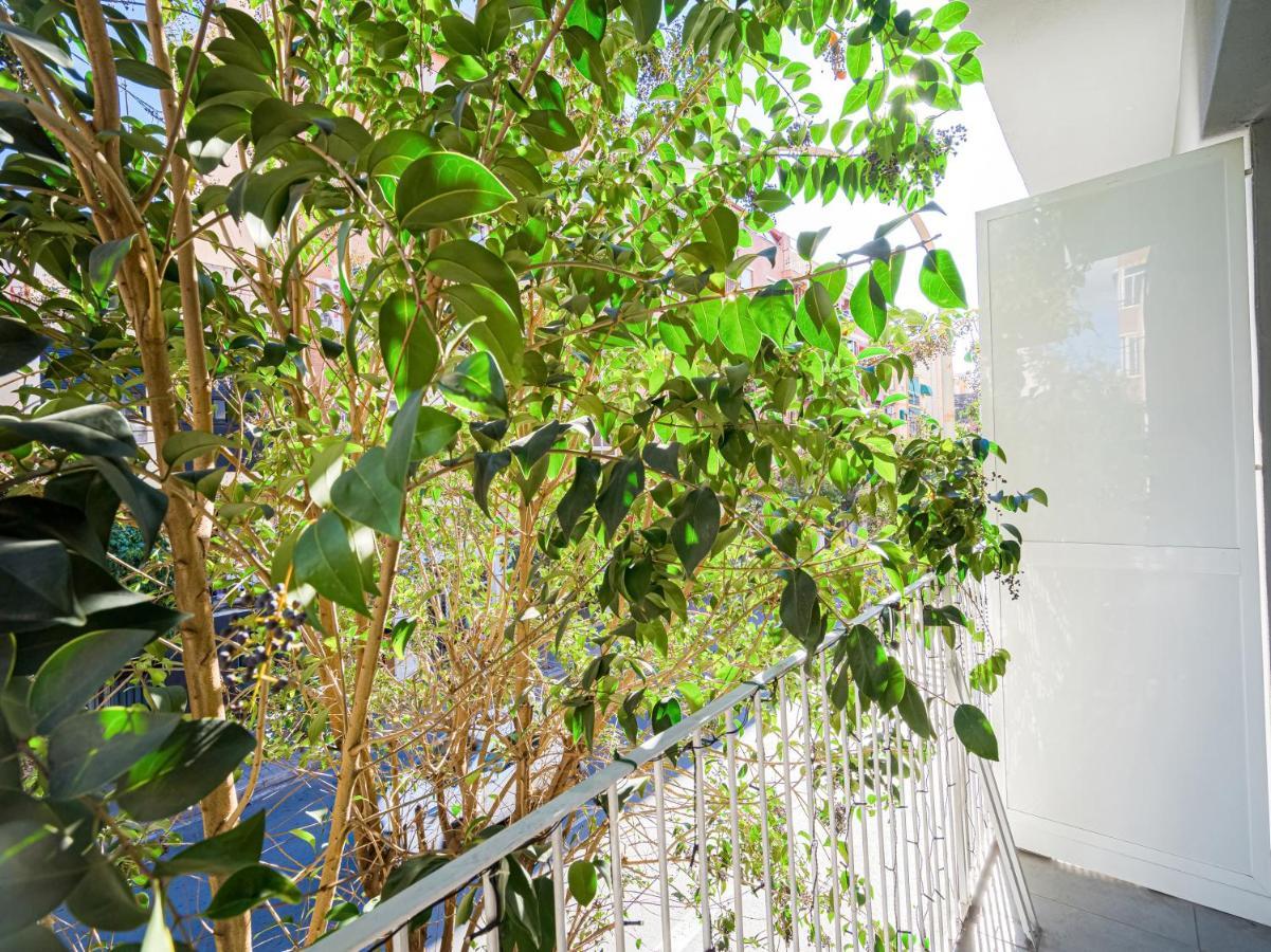 Hostal Jireh Alicante Dış mekan fotoğraf